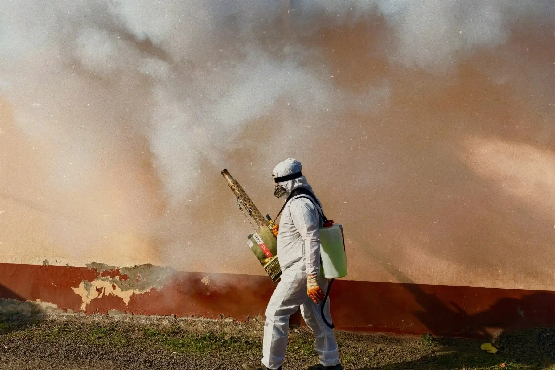 General Pest Control